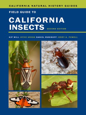 cover image of Field Guide to California Insects